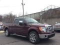 Royal Red Metallic 2010 Ford F150 XLT SuperCab 4x4 Exterior