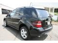 Black - ML 350 4Matic Photo No. 7