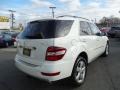 Arctic White - ML 350 4Matic Photo No. 5