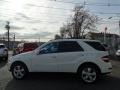 Arctic White - ML 350 4Matic Photo No. 8