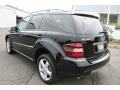 Black - ML 350 4Matic Photo No. 7