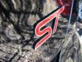 Shadow Black - Focus ST Photo No. 6