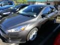Magnetic - Focus SE Sedan Photo No. 2