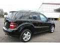 Black - ML 350 4Matic Photo No. 5