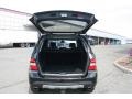 Black - ML 350 4Matic Photo No. 20
