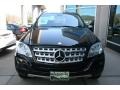 Black - ML 350 4Matic Photo No. 2