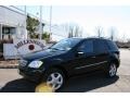 Black - ML 350 4Matic Photo No. 1