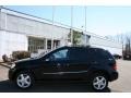 Black - ML 350 4Matic Photo No. 4