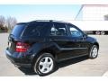 Black - ML 350 4Matic Photo No. 5