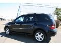 Black - ML 350 4Matic Photo No. 7