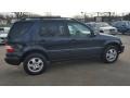 2003 Capri Blue Metallic Mercedes-Benz ML 320 4Matic  photo #7