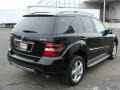 Black - ML 350 4Matic Photo No. 5