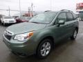 Jasmine Green Metallic 2016 Subaru Forester 2.5i Limited Exterior