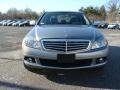 Palladium Silver Metallic - C 300 4Matic Luxury Photo No. 2