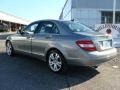 Palladium Silver Metallic - C 300 4Matic Luxury Photo No. 7