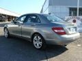 Palladium Silver Metallic - C 300 4Matic Luxury Photo No. 31