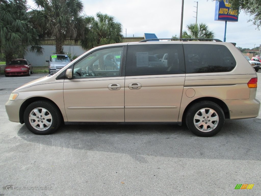 2002 Odyssey EX - Mesa Beige Metallic / Ivory photo #7