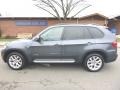 Platinum Gray Metallic - X5 xDrive35i Premium Photo No. 2