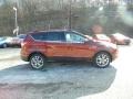 2016 Sunset Metallic Ford Escape SE 4WD  photo #3