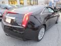 Black Raven - CTS Coupe Photo No. 6