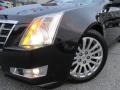 Black Raven - CTS Coupe Photo No. 26