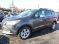 2016 Magnetic Metallic Ford Escape SE 4WD  photo #4