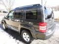 2010 Light Graystone Pearl Jeep Liberty Sport 4x4  photo #11