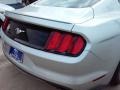 Ingot Silver Metallic - Mustang EcoBoost Premium Coupe Photo No. 11