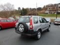 Alabaster Silver Metallic - CR-V LX 4WD Photo No. 3