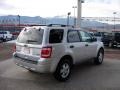 Ingot Silver Metallic - Escape XLT V6 4WD Photo No. 5
