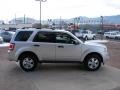 Ingot Silver Metallic - Escape XLT V6 4WD Photo No. 6