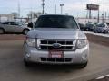 Ingot Silver Metallic - Escape XLT V6 4WD Photo No. 8