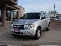 Ingot Silver Metallic - Escape XLT V6 4WD Photo No. 26