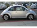 Reflex Silver Metallic - New Beetle Turbo S Coupe Photo No. 11
