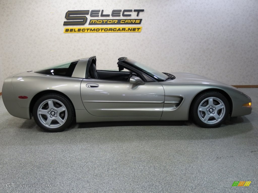 1998 Corvette Coupe - Sebring Silver Metallic / Black photo #3