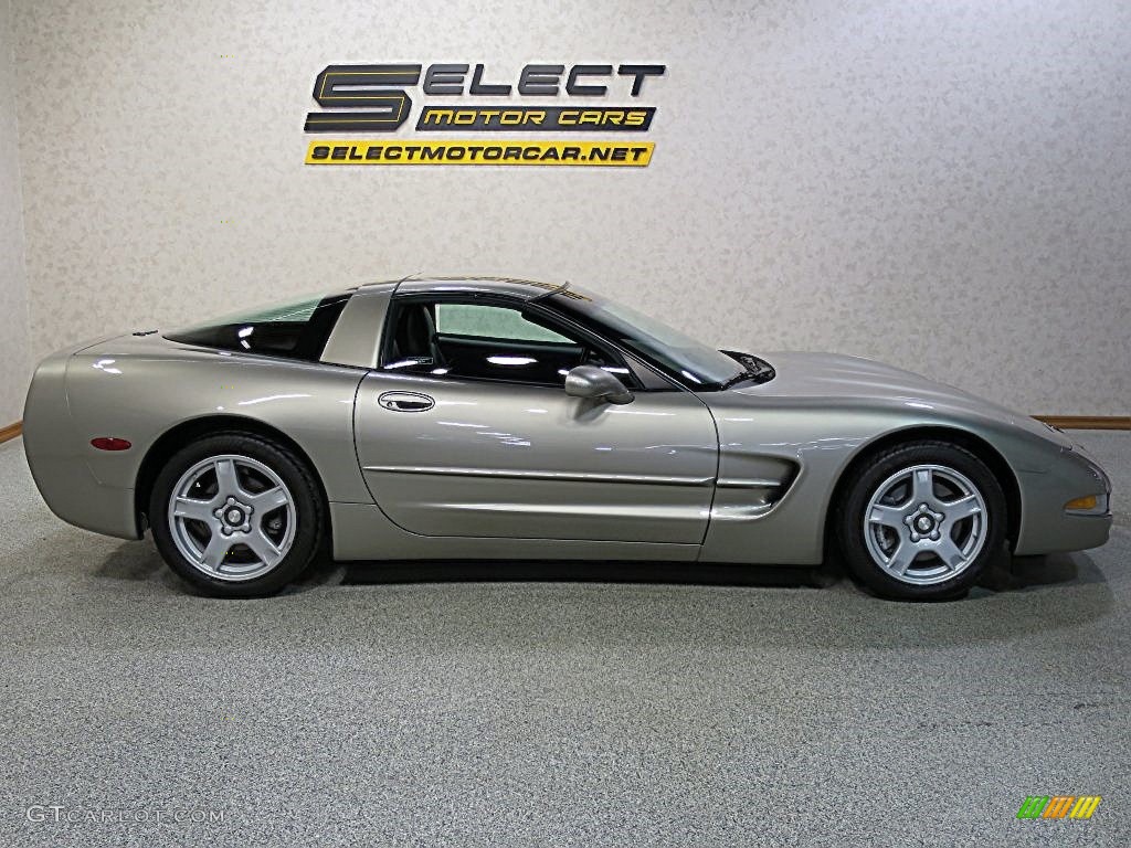 1998 Corvette Coupe - Sebring Silver Metallic / Black photo #5