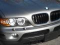 2005 Sterling Grey Metallic BMW X5 3.0i  photo #13