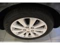 Graphite Gray Metallic - Verano Verano Group Photo No. 11