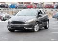 Magnetic - Focus SE Hatch Photo No. 1
