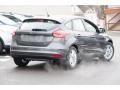 Magnetic - Focus SE Hatch Photo No. 3