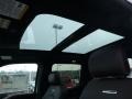 2016 Ford F150 Platinum Brunello Interior Sunroof Photo