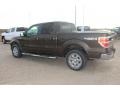 2009 Stone Green Metallic Ford F150 Lariat SuperCrew 4x4  photo #4