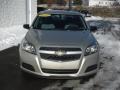 Champagne Silver Metallic - Malibu LS Photo No. 4
