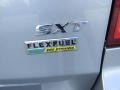 Billet Silver Metallic - Grand Caravan SXT Photo No. 14
