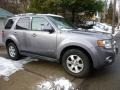 Tungsten Grey Metallic 2008 Ford Escape Limited 4WD