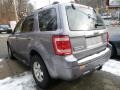 Tungsten Grey Metallic - Escape Limited 4WD Photo No. 7