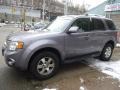 Tungsten Grey Metallic - Escape Limited 4WD Photo No. 8