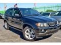 Jet Black 2005 BMW X5 3.0i