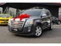 2010 Cyber Gray Metallic GMC Terrain SLT  photo #3