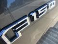 2015 Magnetic Metallic Ford F150 XLT SuperCab  photo #6